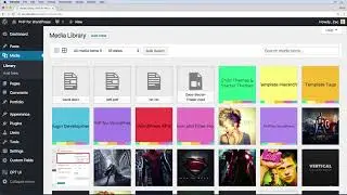 046 Working with the singular php template