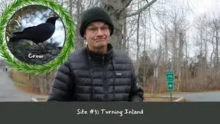 Halifax Xmas Bird Count 4 Kids! Video Tour of Point Pleasant Park