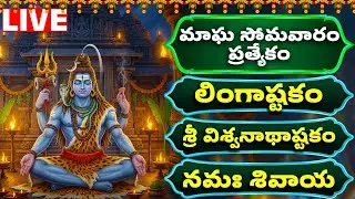 LIVE : Lord Shiva Songs | మాఘమాసం శివుని భక్తి పాటలు | Bhakthi Songs Live | Devotional Songs