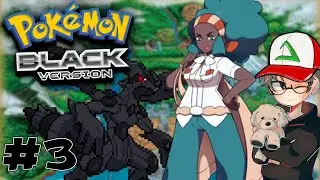 The first full Team and Gym #2 | Pokemon Black Randomizer Nuzlocke #3