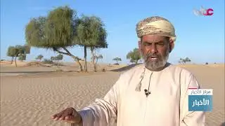 تقرير | علاقة مستدامة بين الإنسان وشجرة الغاف بصحراء نيابة مرسودد في ولاية مقشن