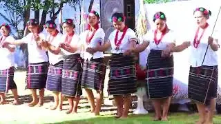 SJC Akhegwo | Women Folk Dance 