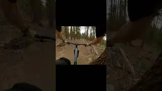 MTB #mtb #mountainbike #california