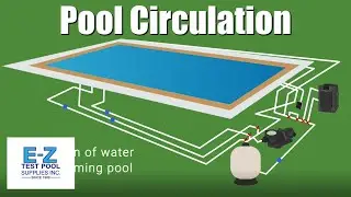 How Does a Swimming Pool Circulate Water?