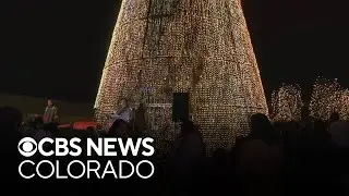 Mile High Tree is lit up for the season on the Tivoli Quad in Denver