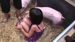 Welt Schweinetag 2013 im SchweineMuseum