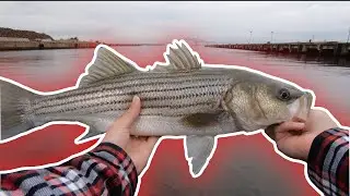 ROCKFISHIN' in the RAIN (SURPRISE CATCH!)