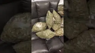CBD hemp flower for sale