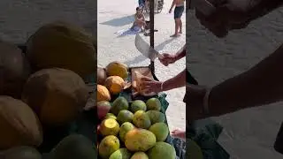 Fresh coconut in Mexico #travelling #mexico #coconut #sea #islaholbox