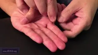 Dajian (T 11.01) [FRAN&Ccedil;AIS]: Pr&eacute;sentation des points de l'acupuncture Tung par le Dr. Chuan-Min Wang