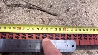 BLISSTOOL measuring line 1.41 for test field installation with plastic tube at 45 degrees