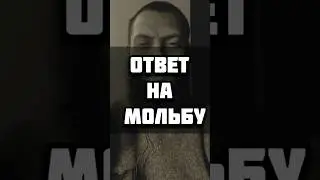 #РАМАДАН #ХАДИС #ИСЛАМ #іслам #муслім #islam #islamic #islamicstatus #short #shorts #video #2025
