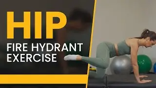Hip - Fire Hydrant Exercise