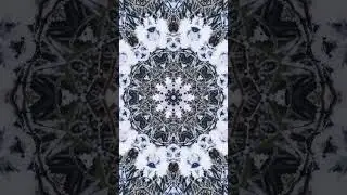 Watch This Pattern Change Before Your Eyes! #shorts