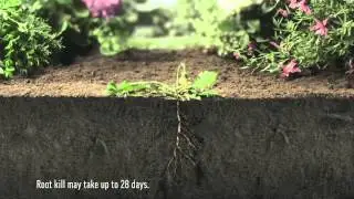 Roundup Gel TV advert