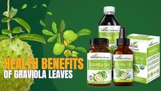 Health Benefits of Graviola Leaves - Herbal Goodness
