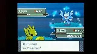 (Live) Shiny Gligar - Pokemon Platinum Version (1,539 REs)