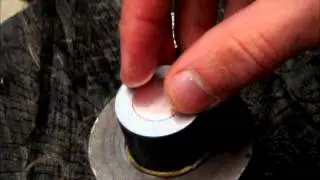 Awestruck Workshop Mints a William I 