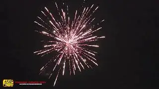 Little Jupiter (Planet Cakes) 9 Shots - Heron Fireworks - Vuurwerk24 - Oud&Nieuw 2025/2026