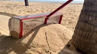 Digging Under a Coconut Forest Beach for Hidden Treasure!