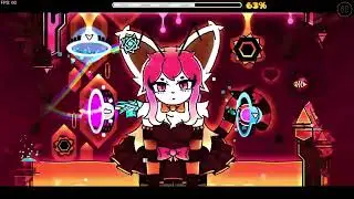 beecat(showcases)