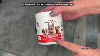 Probiotics for Dogs Digestive Health   Probiotic Chews for Gut Health, Itchy Skin Yeast, Diarrhea