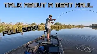 FILLING THE BOX!!!
