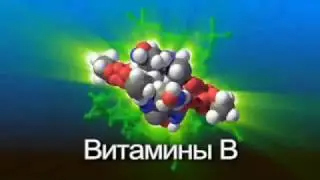 Полезный Энергетический напиток XS Power Drink . 0% сахара
