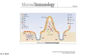 Natural defenses & Microbiome of the GastroIntestinal (GI) tract