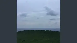 신을 부르는 노래