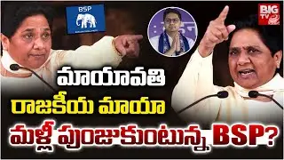 Mayawati New Political Strategy : మళ్లీ పుంజుకుంటున్న BSP.? | Prof Nageshwar | BSP Comeback | BIGTV