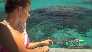 Glass Bottom Boat Tour - Green Island - Great Barrier Reef Tours