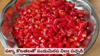 పక్కా కొలతలతో పండుమిరప నిలువ పచ్చడి|SSLM Unique