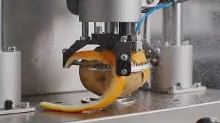 Machine peeling fruit ASMR 🍉🍊 Satisfying sound therapy,Oddly satisfying automation #asmr #satisfying