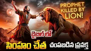 సింహంచే చంపబడ్డ ప్రవక్త | Prophet Killed by Lion | Unknown Bible Facts Telugu | Sandhya Bible Facts