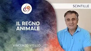 IL REGNO ANIMALE