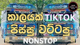 TikTok Viral Sinhala Nonstop | Trending New Songs Collection 2026 | Party Dance Nonstop