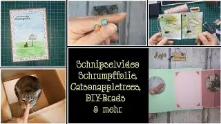 More snippets: shrink wrap, Catsonappletrees, DIY brads, cats & more