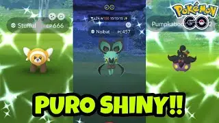 05 Paraisos de SHINYS!! Puentes Magicos con Probabilidad de SHINYS!! Coordenadas y ubicaciones!!