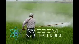 Toxic pesticides and herbicides