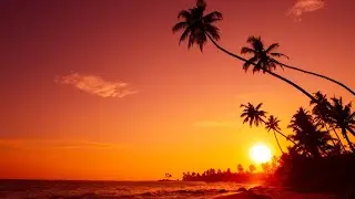 Matt Darey feat. Kate Louise Smith - See the Sun (Aurosonic Remix) [ASOT 428]