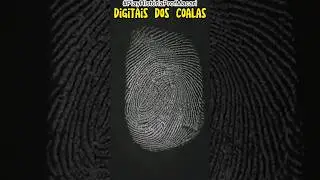 HUMANOS E COALAS TEM A MESMA DIGITAL? (Prof.Macari) #shorts