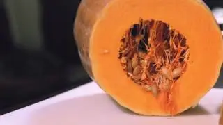 Churchill Quail with pumpkin cream