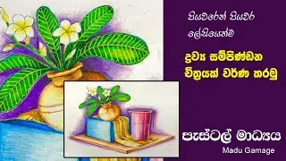 How to draw still life painting in pastel , ද්‍රව්‍ය සම්පිණ්ඩනයක් ඇද පැස්ටල් වලින් වර්ණ කරමු.
