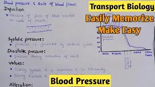 Blood Pressure: Systolic Pressure And Diastolic Pressure | Class 11 Biology