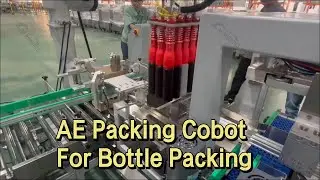 AE 6-axis packing collaborative robot in action