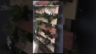 Vertical Garden Ideas | A Lovely Plant Wall in The Living Room #shorts home decor