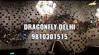 Best Bar In Delhi Aerocity | Premium Nightclub & Party Venue At Delhi Airport | Dragonfly Club Delhi