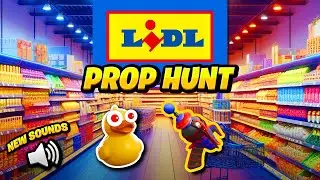 PROP HUNT dans un LIDL (j'ai eu mon plus gros fou rire)