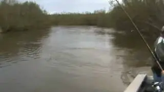 Back trolling for Salmon with Martin Thurber!